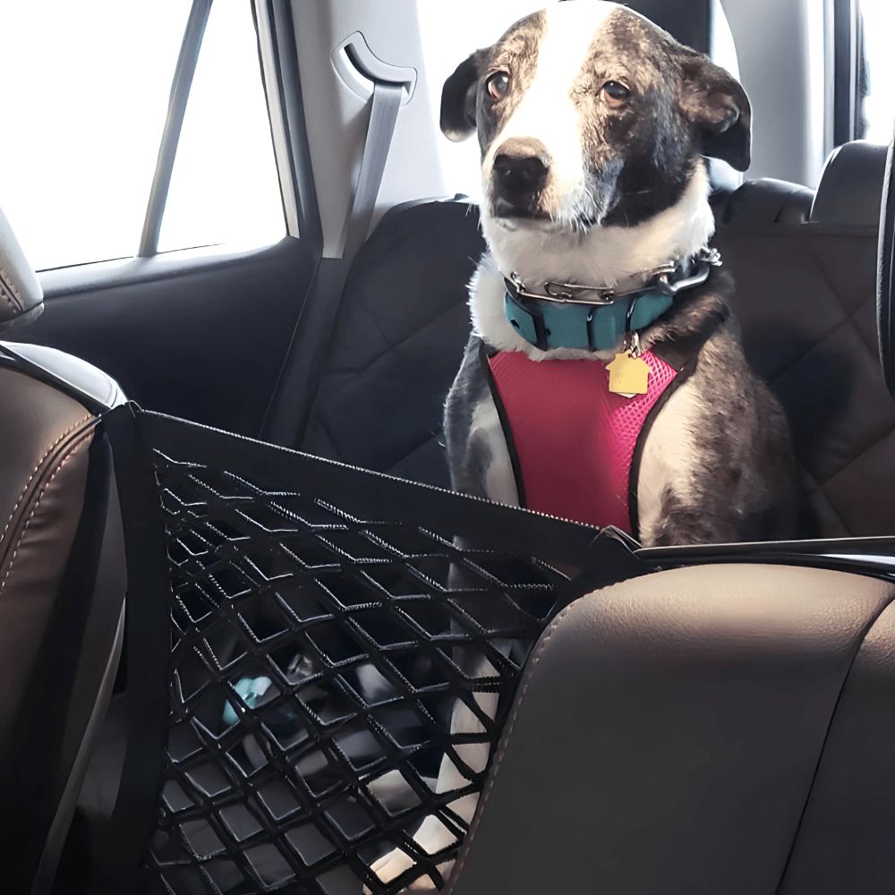 Ljubimci ostaju na svom mestu pomocu mreze