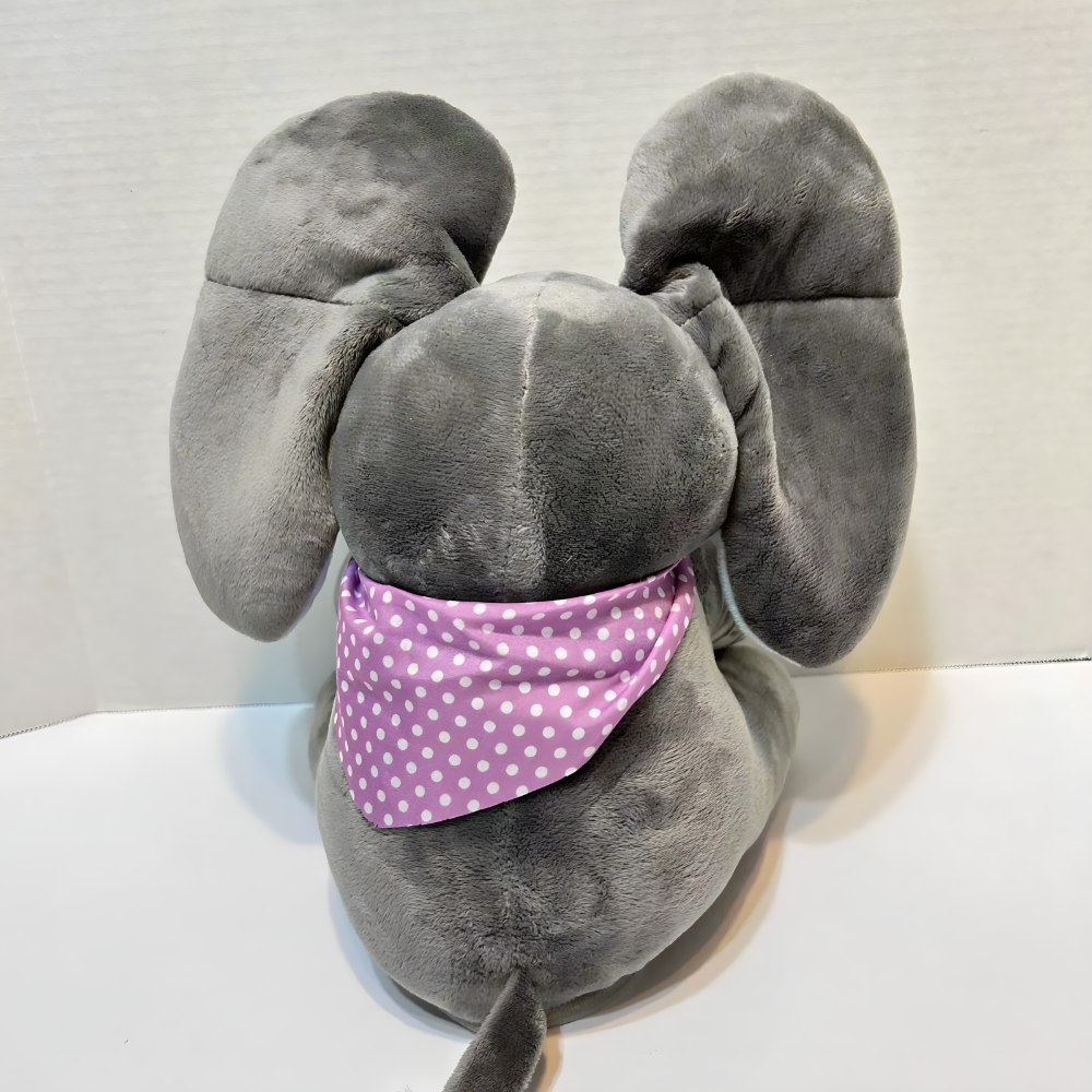 slonce ima maramu oko vrata