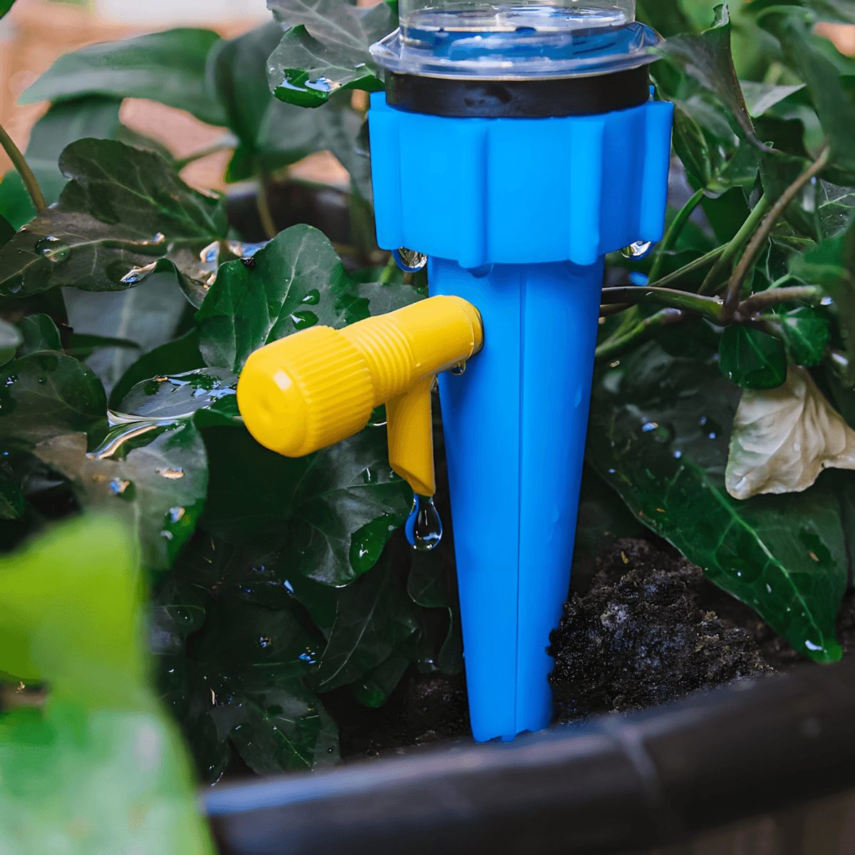 na ovaj nacin biljka uzme vode koliko joj je dovoljno