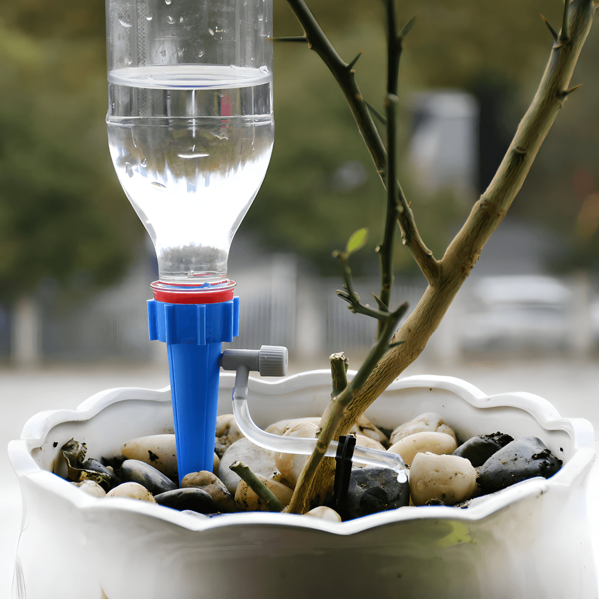 biljke zalivene i dok ste odsutni