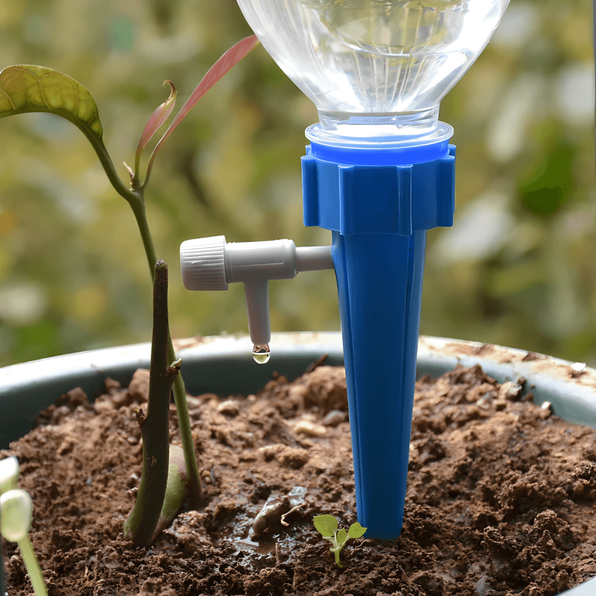 bez brige idite na odmor sa nasim sistemom za zalivanje